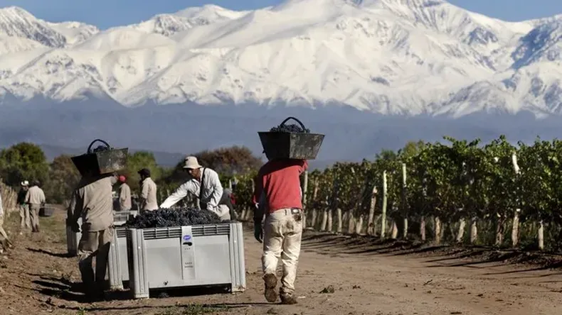 La cadena de pagos de la vitivinicultura est&aacute; rota: la crisis&nbsp;se expandi&oacute; desde las bases hacia el extremo superior de la pir&aacute;mide de uno de los&nbsp;sectores&nbsp;con mayor incidencia sobre la&nbsp;econom&iacute;a de la provincia.