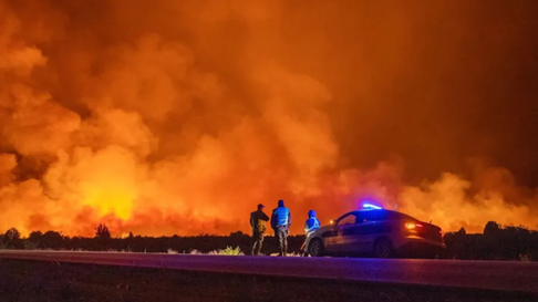 Camino a los dos meses de un fuego que no cesa en la Patagonia. Camino a los dos meses de un fuego que no cesa en la Patagonia.