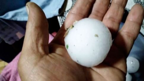 Las tormentas de granizo hacen mucho daño. Las tormentas de granizo hacen mucho daño.