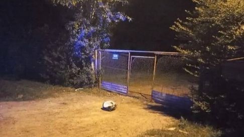 intento matar a fierrazos a su pareja en abasto intento matar a fierrazos a su pareja en abasto