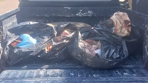 Secuestro de carne no apta para el consumo en San Rafael Secuestro de carne no apta para el consumo en San Rafael