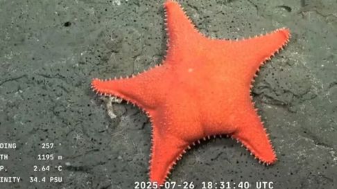 con un emotivo mensaje, los cientificos del conicet finalizaron la campana en el canon submarino mar del plata con un emotivo mensaje, los cientificos del conicet finalizaron la campana en el canon submarino mar del plata