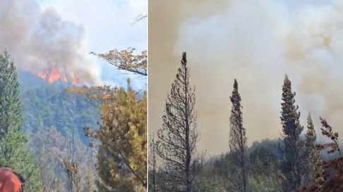 Imágenes desde El Bolsón, tomadas por un Bombero de Villa Elvira Imágenes desde El Bolsón, tomadas por un Bombero de Villa Elvira