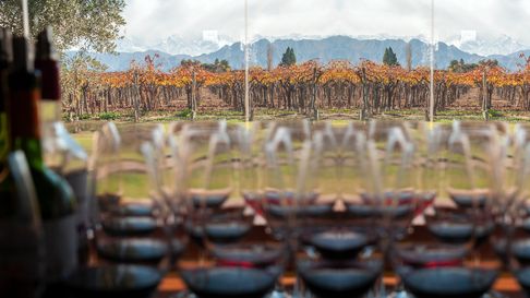El gasto promedio por visitante varía según la experiencia, pero se estima que cada turista del vino deja entre $12.000 y $35.000 diarios El gasto promedio por visitante varía según la experiencia, pero se estima que cada turista del vino deja entre $12.000 y $35.000 diarios