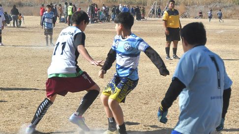 abrieron las inscripciones para la copa guayma de futbol sub 12 abrieron las inscripciones para la copa guayma de futbol sub 12