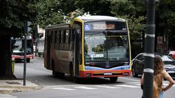 Los micros de La Plata aumentan el 1 de marzo Los micros de La Plata aumentan el 1 de marzo