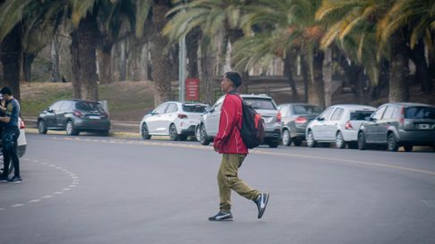 Parque San Martín. Ciudad de Mendoza Parque San Martín. Ciudad de Mendoza