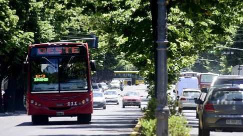 Menos frecuencia de transporte público en La Plata Menos frecuencia de transporte público en La Plata