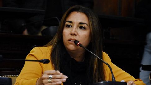 El proyecto de Gómez exige al Gobienro conocer el estado actual de la infraestructura educativa y las medidas de reparación o mantenimiento. El proyecto de Gómez exige al Gobienro conocer el estado actual de la infraestructura educativa y las medidas de reparación o mantenimiento.