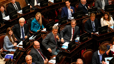 Ficha limpia se postergó y sólo habrá homenajes al papa Francisco en el Senado.&nbsp;