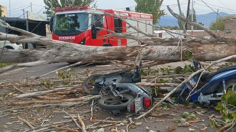 Un motociclista murió aplastado por un árbol en Las Heras. Un motociclista murió aplastado por un árbol en Las Heras.