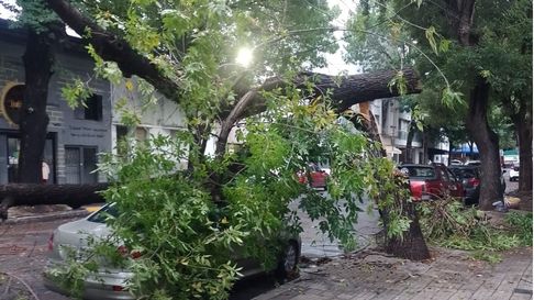 La tormenta afectó diferentes servicios en La Plata La tormenta afectó diferentes servicios en La Plata