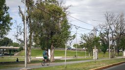 El tiempo en Mendoza: se mantienen las alertas por tormentas pero se espera una mejoría El tiempo en Mendoza: se mantienen las alertas por tormentas pero se espera una mejoría