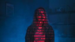 Delitos informáticos.