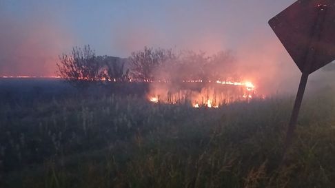 Así fue el incendio forestal a las afueras de La Plata sobre la Ruta 6 Así fue el incendio forestal a las afueras de La Plata sobre la Ruta 6