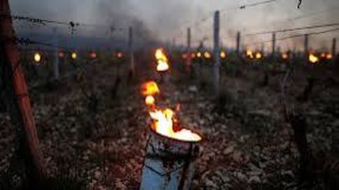 heladas: contingencias climaticas explico hasta que dia se pueden hacer las denuncias por danos heladas: contingencias climaticas explico hasta que dia se pueden hacer las denuncias por danos