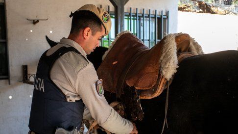 general alvear: cuatro hombres fueron procesados por caza furtiva general alvear: cuatro hombres fueron procesados por caza furtiva