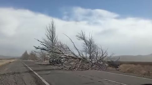 Como alternativa, se estableció que las clases deberán continuar de forma virtual a través de la plataforma educativa Escuela Digital Mendoza, garantizando la continuidad pedagógica. Como alternativa, se estableció que las clases deberán continuar de forma virtual a través de la plataforma educativa Escuela Digital Mendoza, garantizando la continuidad pedagógica.