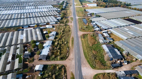 presentaron en la plata los resultados del relevamiento florihorticola 2025 presentaron en la plata los resultados del relevamiento florihorticola 2025