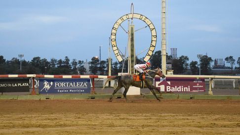 El Gran Premio Dardo Rocha hará vibrar a La Plata El Gran Premio Dardo Rocha hará vibrar a La Plata