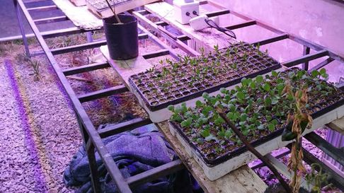 El sistema de iluminación desarrollado por la UNLP El sistema de iluminación desarrollado por la UNLP