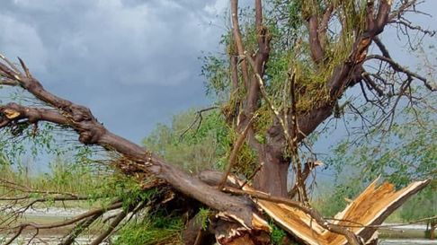 temporal: el granizo azoto zonas productivas del este, el valle de uco y lavalle temporal: el granizo azoto zonas productivas del este, el valle de uco y lavalle