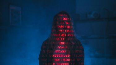 Delitos informáticos.