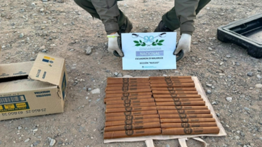 Gendarmes de Malargüe encontraron unos 30 cartuchos en un auto. Gendarmes de Malargüe encontraron unos 30 cartuchos en un auto.
