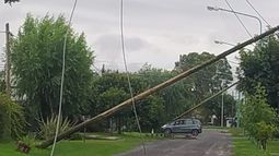 Teléfono para EDELAP: impulsan mayor control del Municipio sobre el tendido de cables y postes. Teléfono para EDELAP: impulsan mayor control del Municipio sobre el tendido de cables y postes.