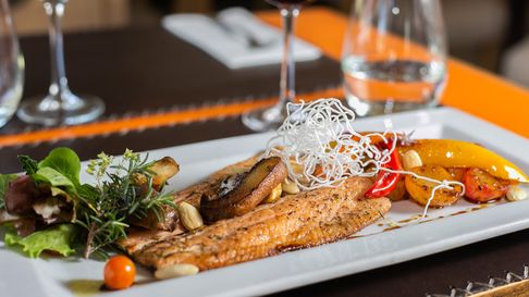 El 6° Foro de Origen e Identidad Gastronómica llega a San Rafael con cocina en vivo, feria, charlas y un fin solidario a beneficio de la APRID. El 6° Foro de Origen e Identidad Gastronómica llega a San Rafael con cocina en vivo, feria, charlas y un fin solidario a beneficio de la APRID.