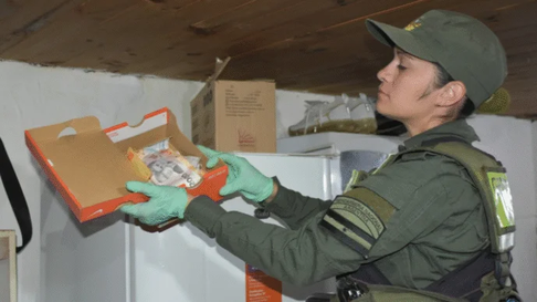 Personal de Gendarmería allanó la vivienda de la detenida. Personal de Gendarmería allanó la vivienda de la detenida.
