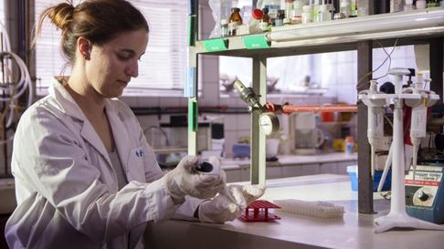 un descubrimiento de la unlp podria prevenir arritmias cardiacas un descubrimiento de la unlp podria prevenir arritmias cardiacas