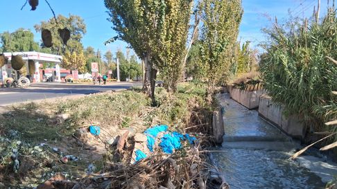 Una de las postales de la contaminación en Corralitos, Guaymallén, donde AYSAM vertió líquido cloacal. Una de las postales de la contaminación en Corralitos, Guaymallén, donde AYSAM vertió líquido cloacal.