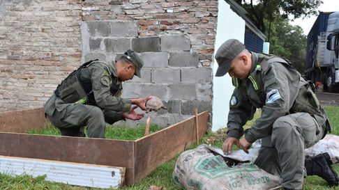 Las tortugas rescatadas estaban ocultas en bolsas de arpillera Las tortugas rescatadas estaban ocultas en bolsas de arpillera