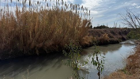 verduras contaminadas: lavalle exige que se declare la emergencia ambiental y anticipa acciones contra aysam verduras contaminadas: lavalle exige que se declare la emergencia ambiental y anticipa acciones contra aysam