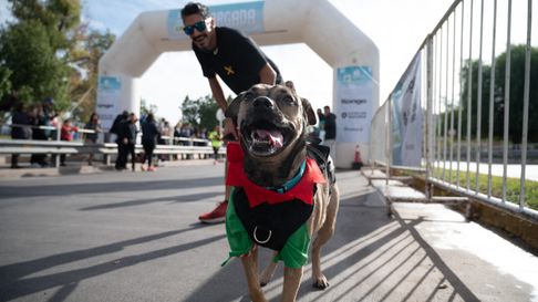 se viene una nueva edicion de la maraton animal en ciudad de mendoza se viene una nueva edicion de la maraton animal en ciudad de mendoza