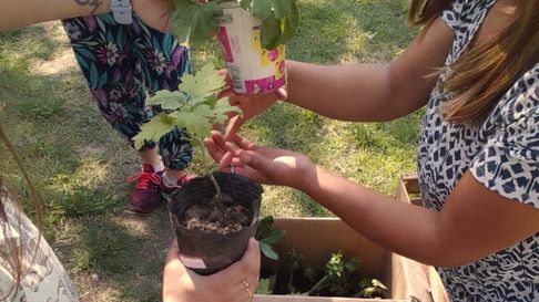 intercambio de semillas la plata celebra su quinto aniversario este fin de semana intercambio de semillas la plata celebra su quinto aniversario este fin de semana