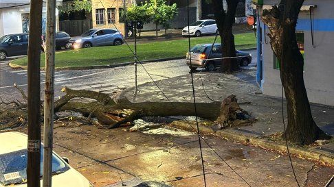 la plata y berisso, al limite: entre filtraciones, cortes y responsabilidades evadidas la plata y berisso, al limite: entre filtraciones, cortes y responsabilidades evadidas