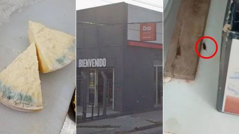El supermercadi DIA de La Plata, en el ojo de la tormenta El supermercadi DIA de La Plata, en el ojo de la tormenta
