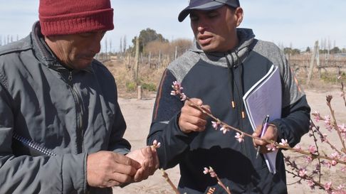 Una capacitación en la UNCuyo: 10 encuentros para ser Encargado de Finca Una capacitación en la UNCuyo: 10 encuentros para ser Encargado de Finca