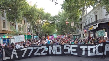 La enorme bandera por la Ley 7722 que marcha en las calles de Mendoza desde hace años.&nbsp;