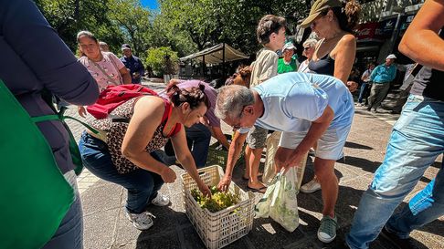 Postal del caravanazo por la crisis de pequeños productores en plena vendimia. Postal del caravanazo por la crisis de pequeños productores en plena vendimia.
