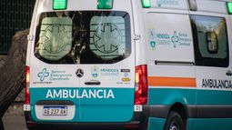 Dos personas resultaron electrocutadas en Las Heras. Dos personas resultaron electrocutadas en Las Heras.