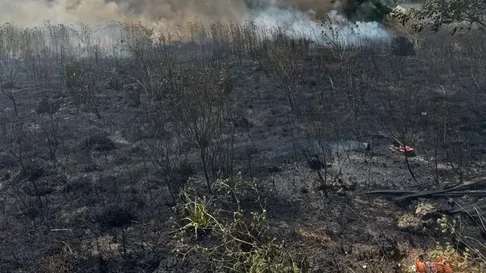 bomberos contuvieron un nuevo incendio en un barrio de la plata bomberos contuvieron un nuevo incendio en un barrio de la plata