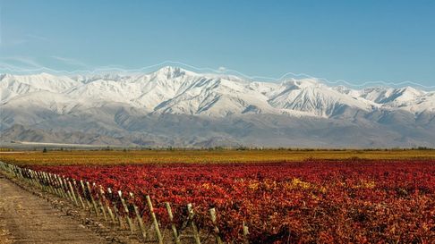 Bodegas que quieran comercializar a granel, tienen la oportunidad de la Vinexpo Explorer 2026. Bodegas que quieran comercializar a granel, tienen la oportunidad de la Vinexpo Explorer 2026.