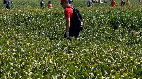 desesperada busqueda de lian en cordoba a tres dias de que fuera visto por ultima vez desesperada busqueda de lian en cordoba a tres dias de que fuera visto por ultima vez