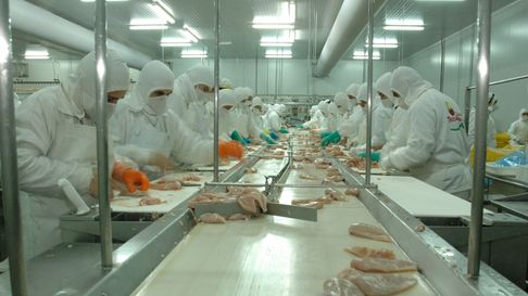 Por la importación indiscriminada empresas como Granja Tres Arroyos está a un paso de cerrar. Por la importación indiscriminada empresas como Granja Tres Arroyos está a un paso de cerrar.