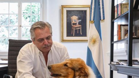 murio dylan, el perro del ex presidente alberto fernandez murio dylan, el perro del ex presidente alberto fernandez