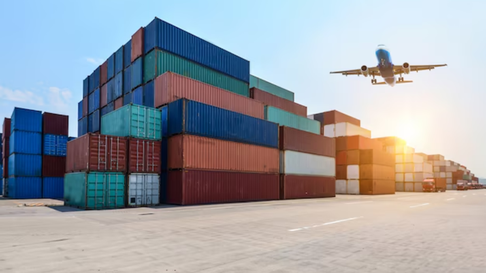 El asesor de Javier Milei dijo que Argentina tiene que bajar aranceles propios. El asesor de Javier Milei dijo que Argentina tiene que bajar aranceles propios.