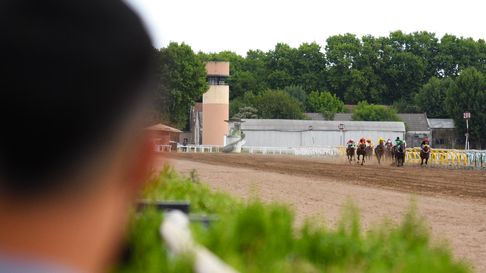 el turf de la plata y el resto de la provincia tendran novedosos cambios el turf de la plata y el resto de la provincia tendran novedosos cambios